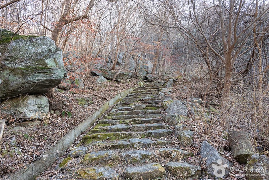 축령산 이미지 3