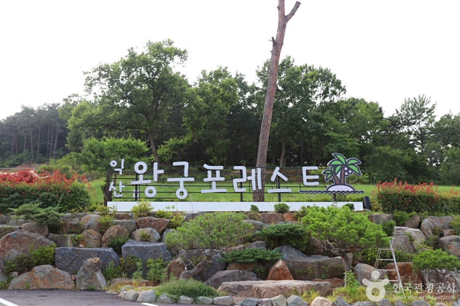 왕궁 포레스트 이미지 1