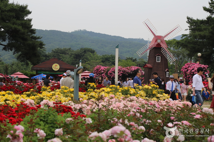 서울대공원 이미지 6