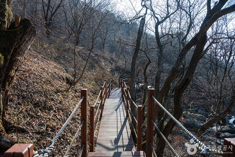 축령산 이미지 2