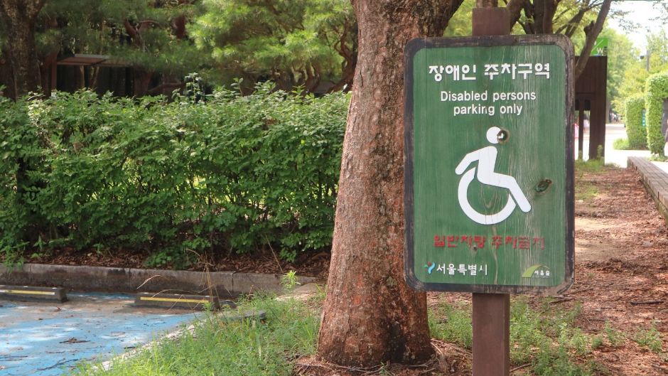 서울숲 곤충식물원 이미지 4