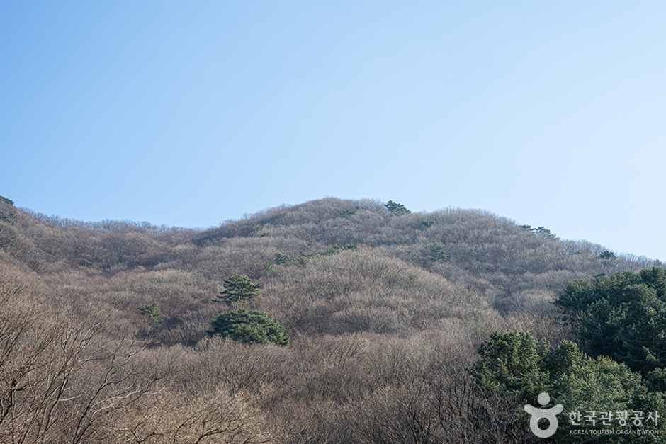 축령산 이미지 1