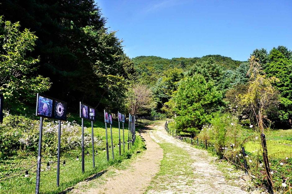 산들소리 이미지 6