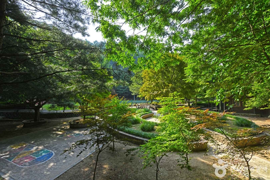 봉학골산림욕장 이미지 1