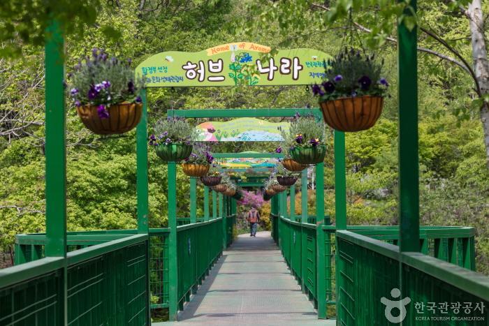 허브나라농원 이미지 2