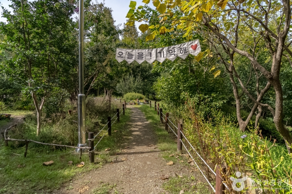 성남시 식물원(은행식물원) 이미지 2