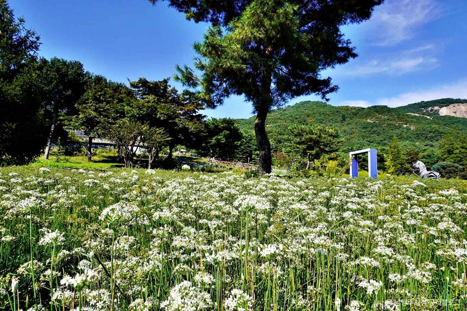 산들소리 이미지 2
