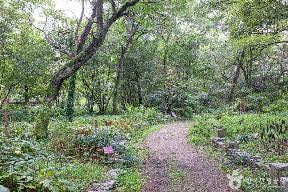 기청산식물원 이미지 3