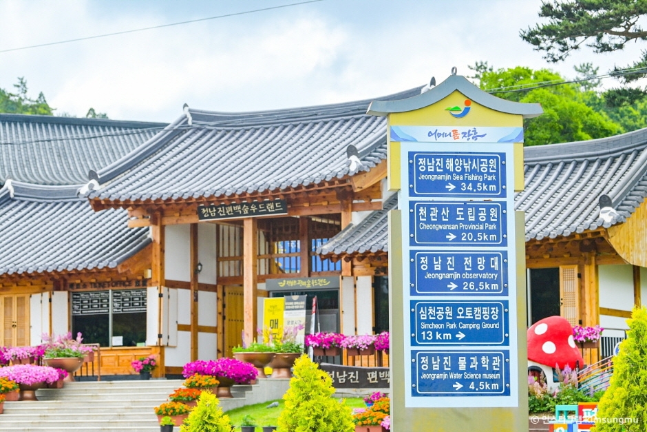 정남진 편백숲 우드랜드 이미지 4