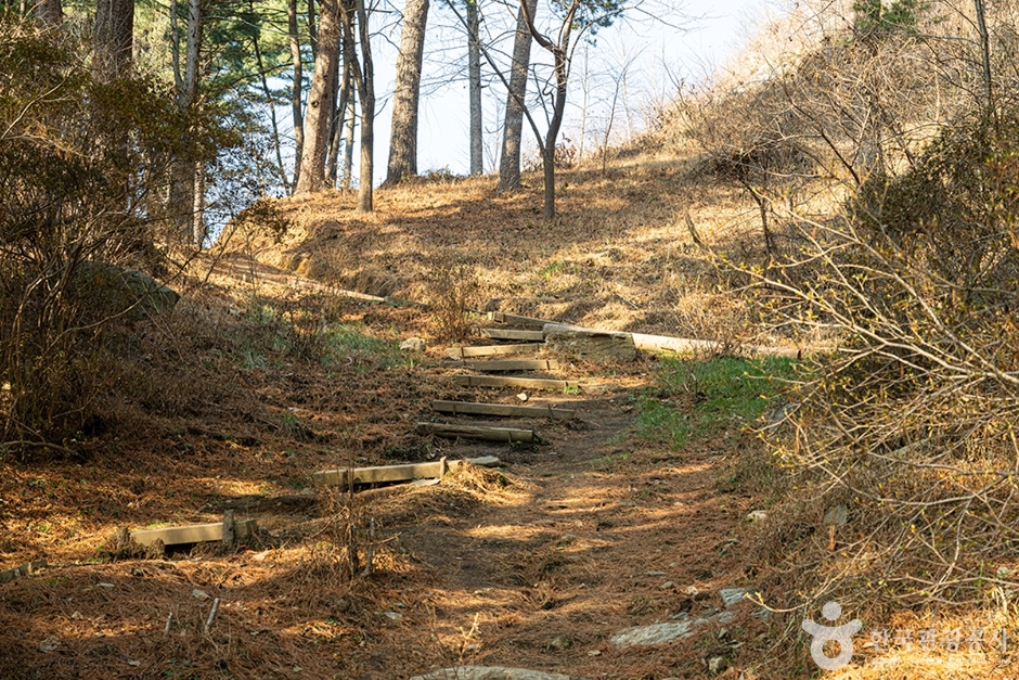 축령산 이미지 4