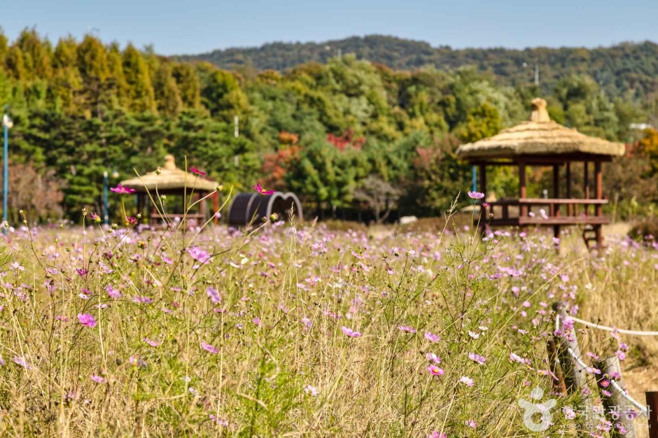 인천대공원 이미지 6