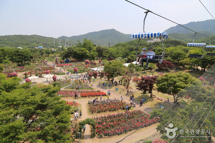 서울대공원 이미지 5