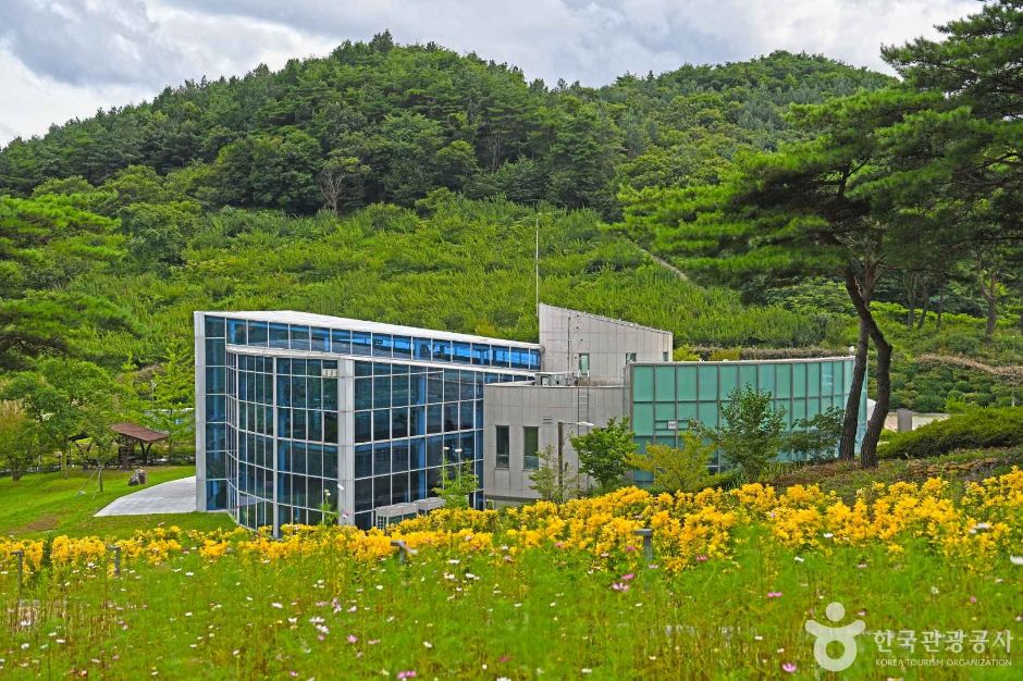야생화테마랜드 이미지 6