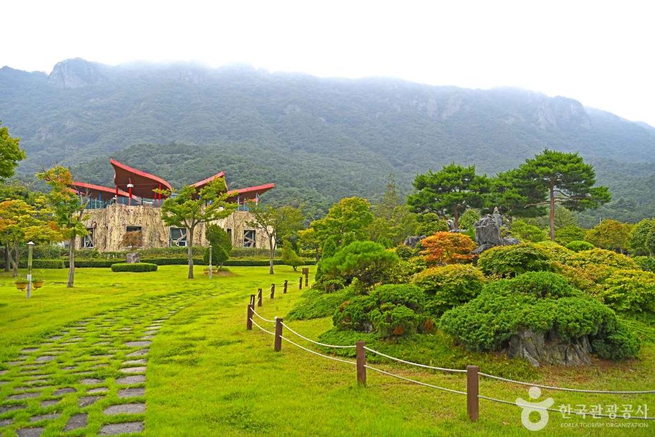 내장산 단풍생태공원 이미지 1