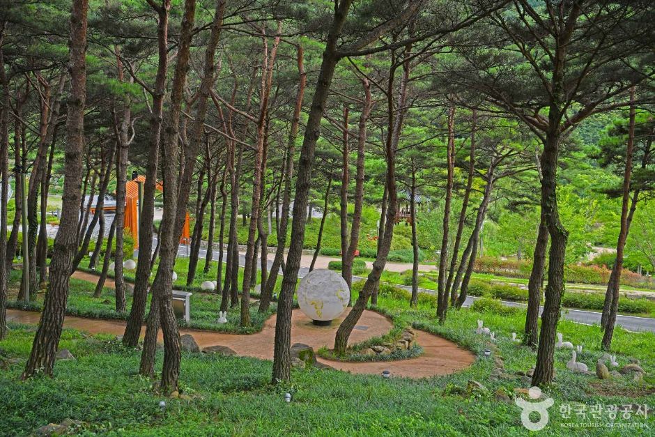 야생화테마랜드 이미지 4