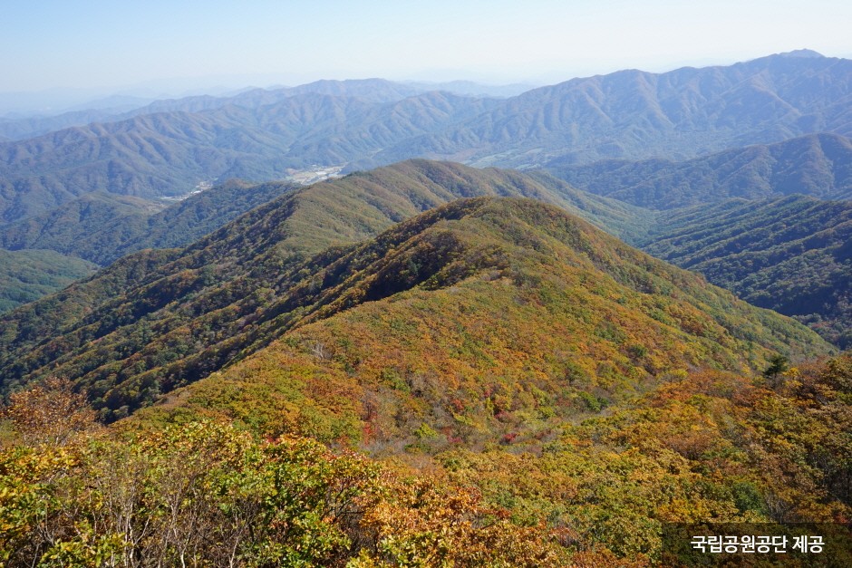 치악산국립공원 이미지 3