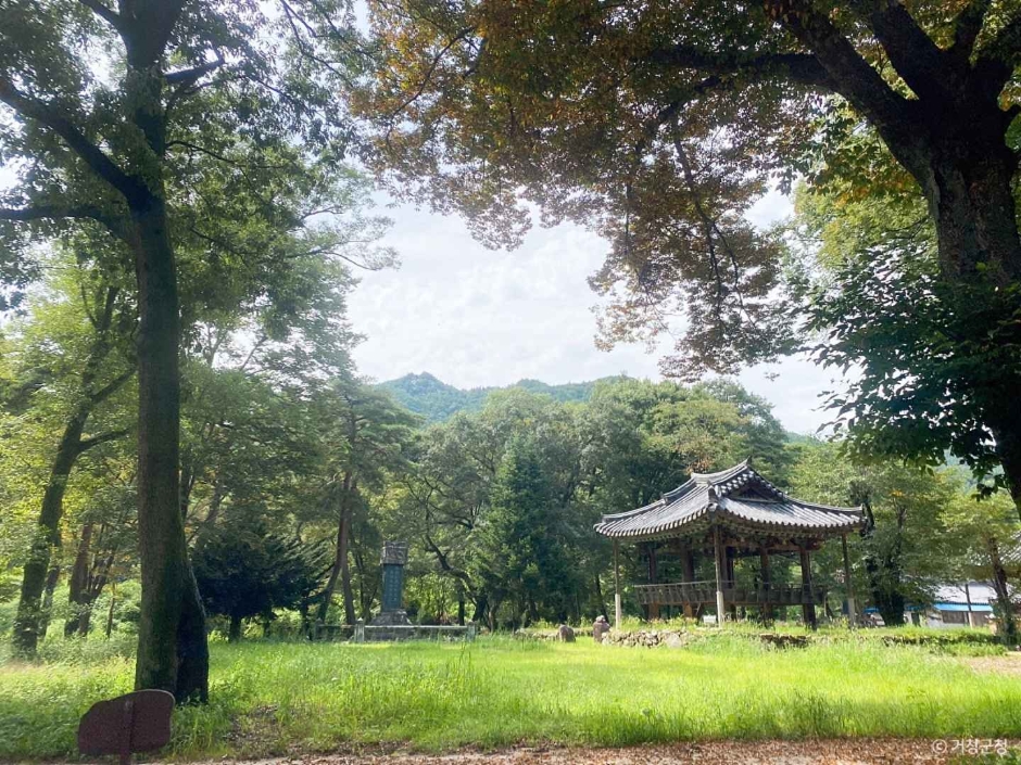 갈계숲 이미지 3