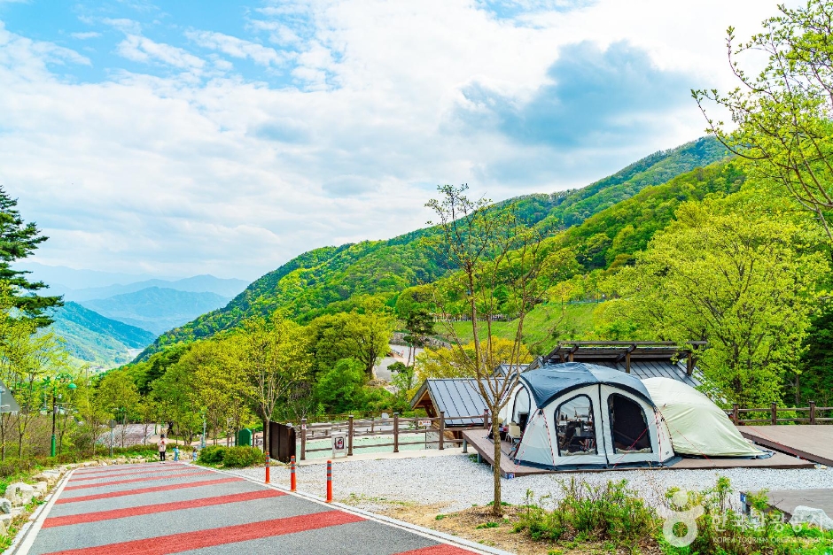 함양대봉산휴양밸리 이미지 5