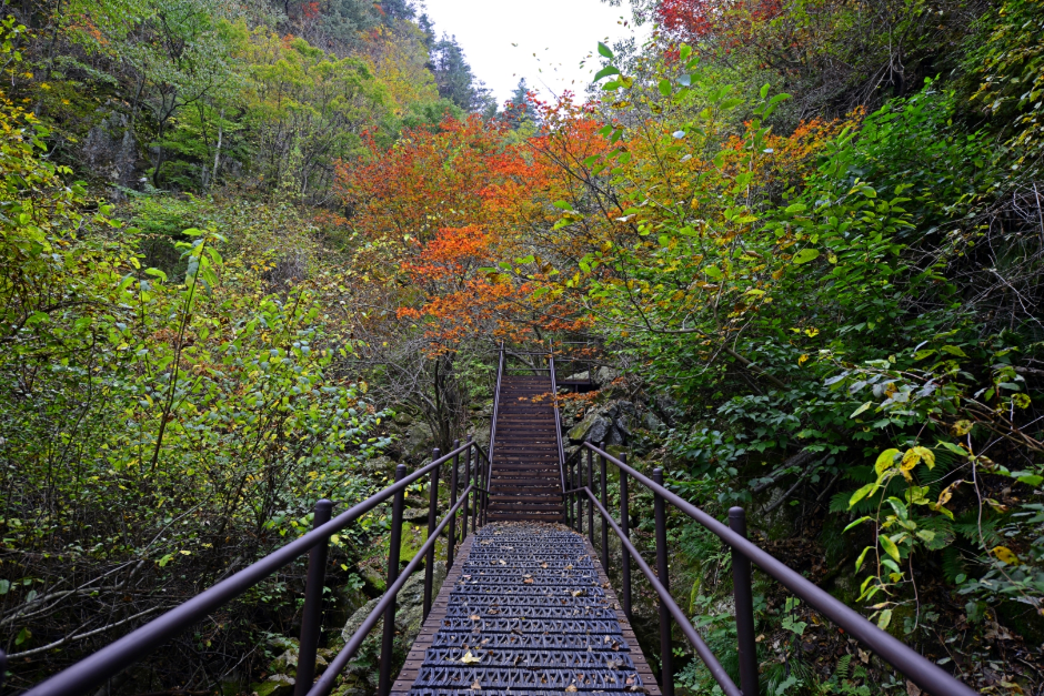 치악산국립공원 이미지 5
