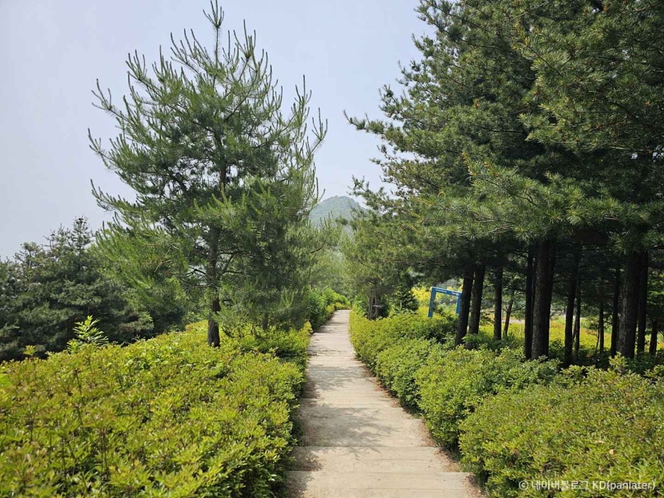 영인산 이미지 2
