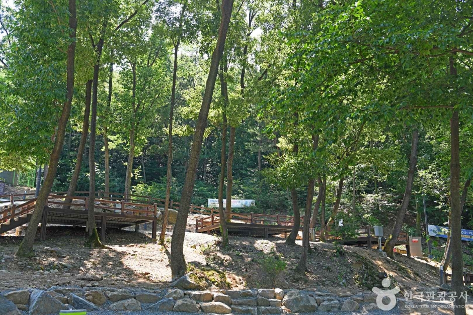 천안 태학산 자연휴양림 이미지 2