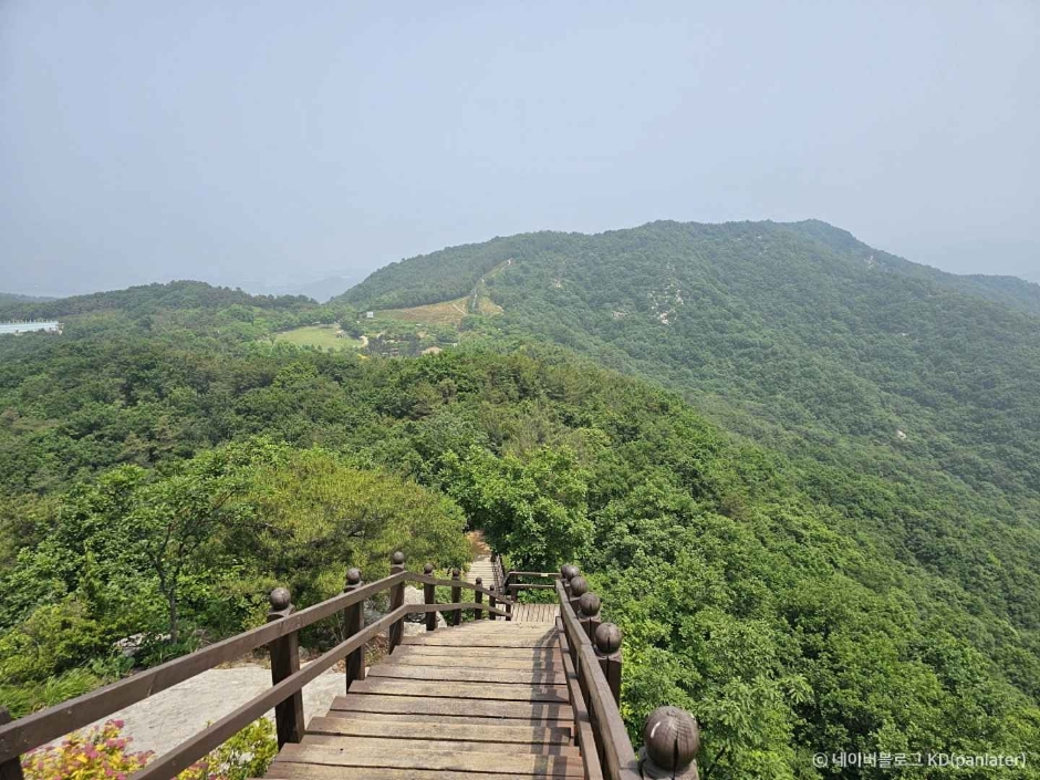 영인산 이미지 4