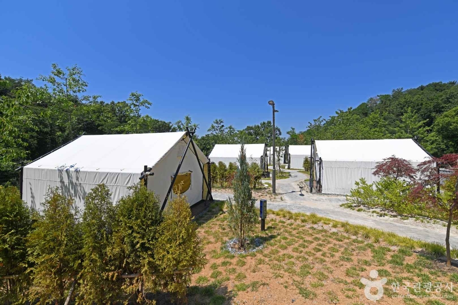 천안 태학산 자연휴양림 이미지 1