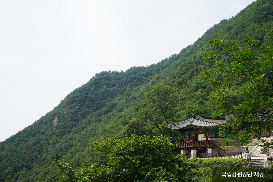 치악산국립공원 이미지 1