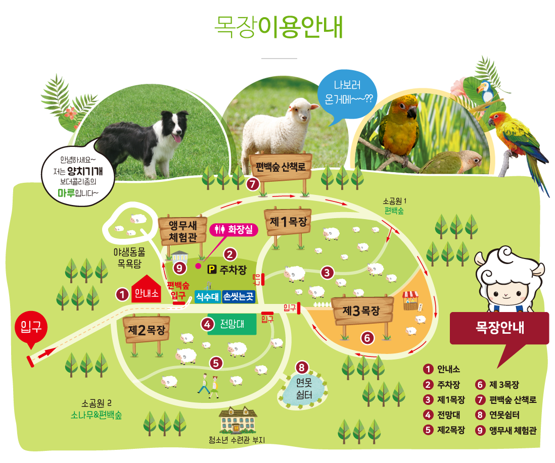 상상양떼목장 편백숲 이미지 7