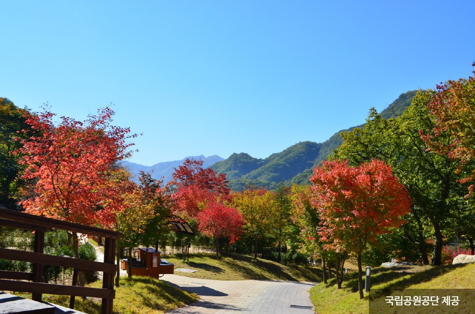치악산국립공원 이미지 4