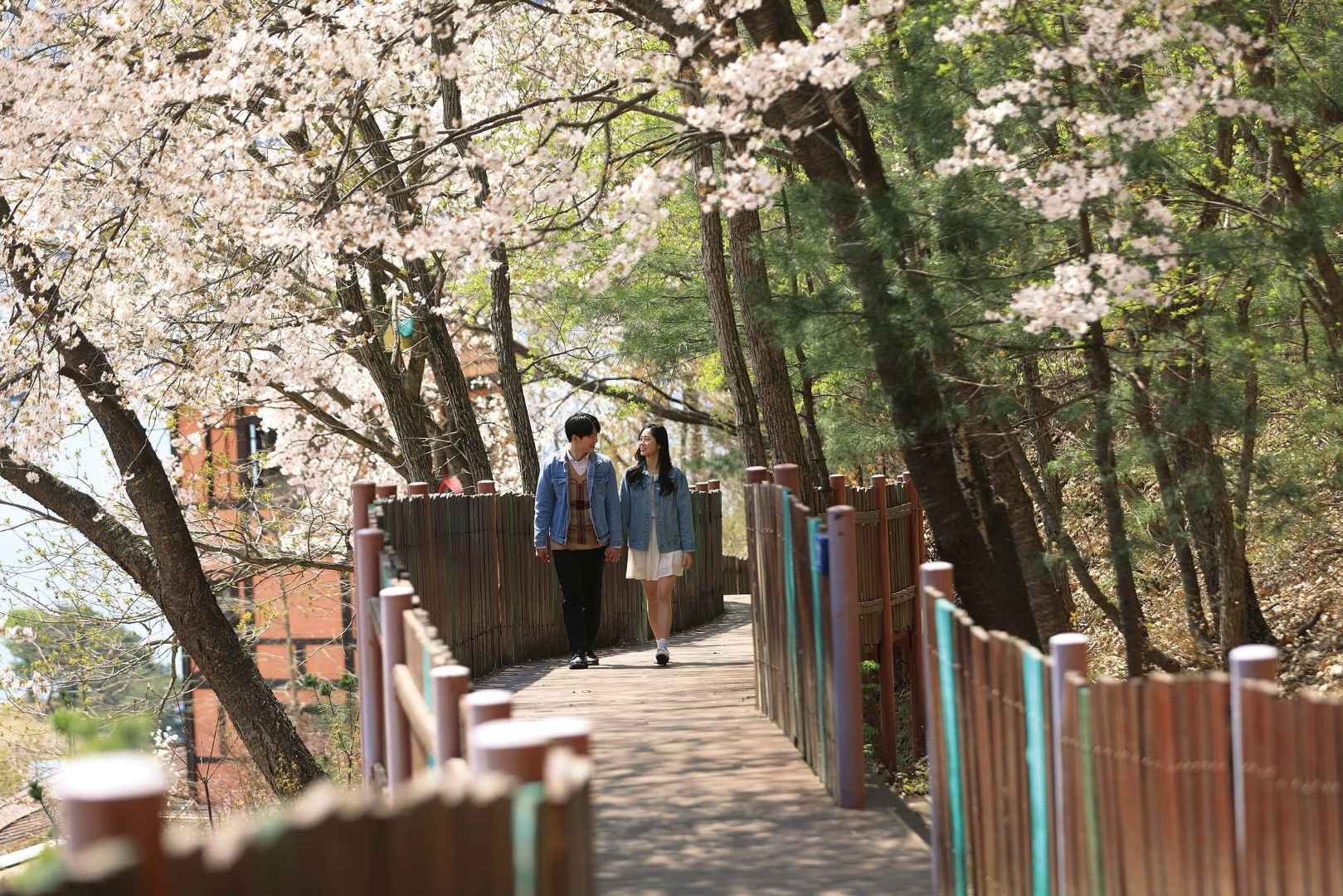 쁘띠프랑스 이미지 5