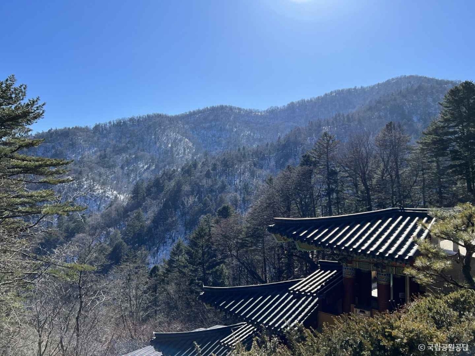 오대산국립공원 이미지 6