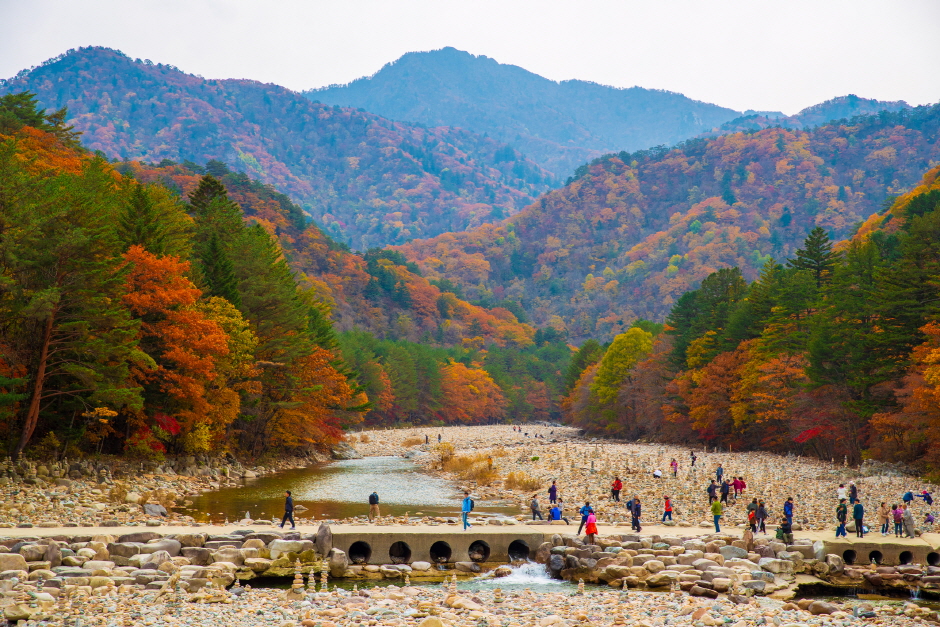 백담사 이미지 5