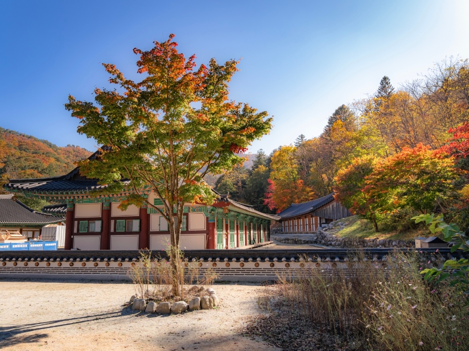 백담사 이미지 7