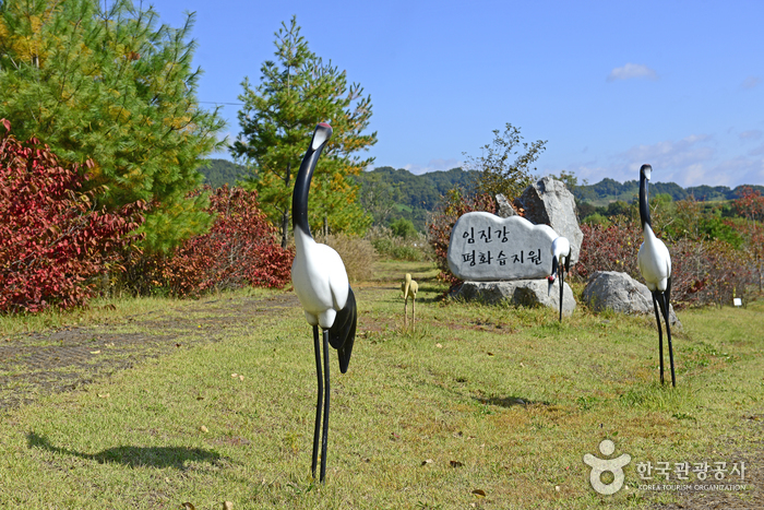 임진강평화습지원 이미지 1