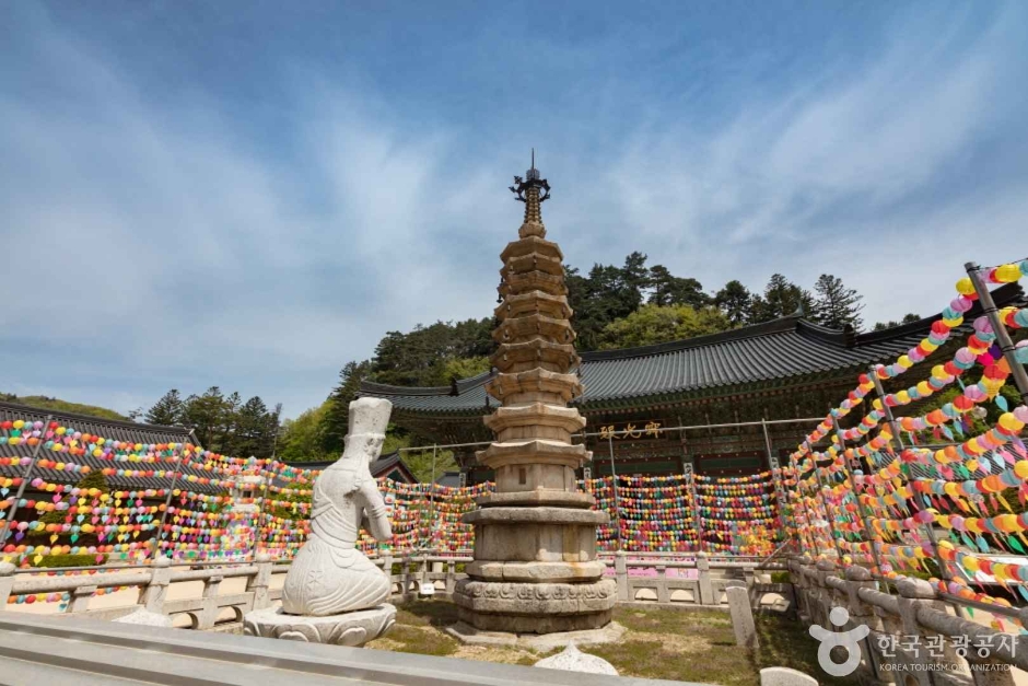 월정사·월정사 전나무숲 이미지 3