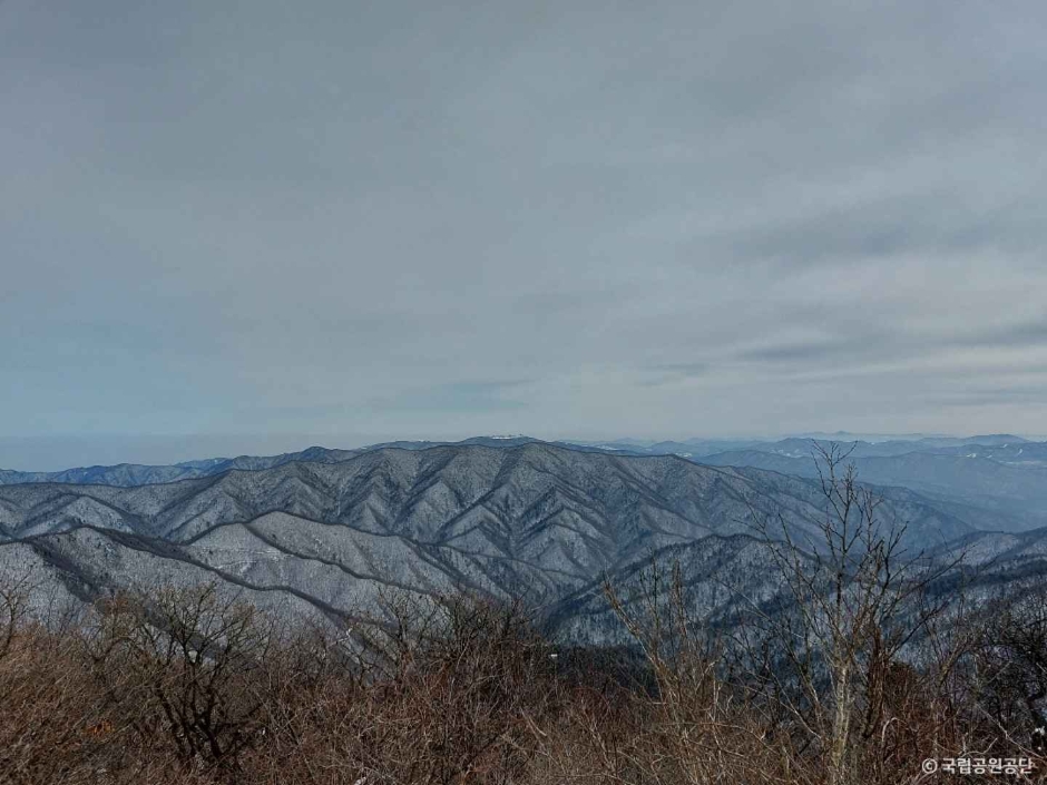 오대산국립공원 이미지 4