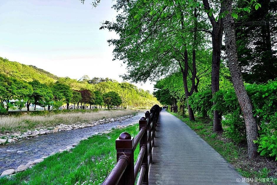 문경 생태미로공원 이미지 6