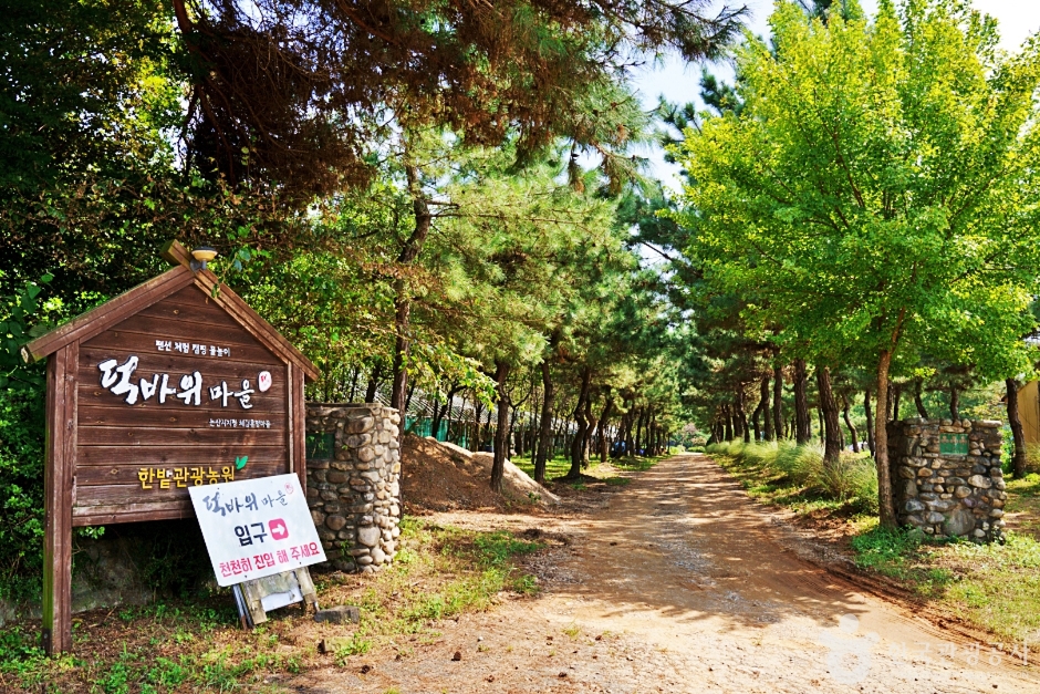 논산 덕바위농촌체험휴양마을 이미지 1