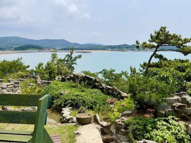 보령 상화원 [섬 전체가 정원] 이미지 7