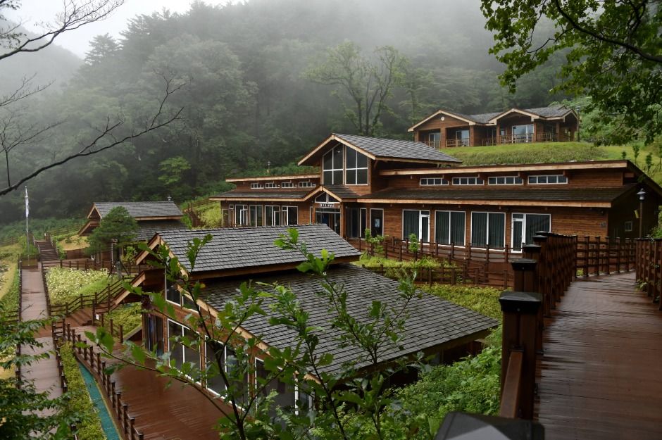 강릉 국립대관령치유의숲 이미지 6