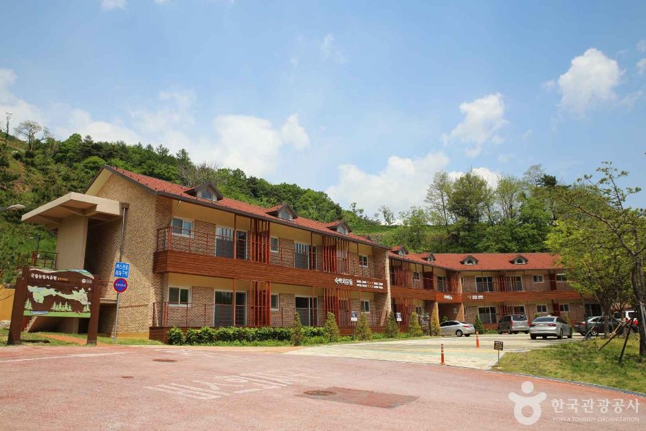 영주 국립산림치유원 이미지 5