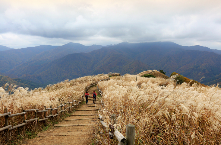 정선 민둥산 _한국의 알프스 이미지 1