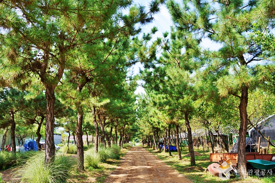 논산 덕바위농촌체험휴양마을 이미지 3