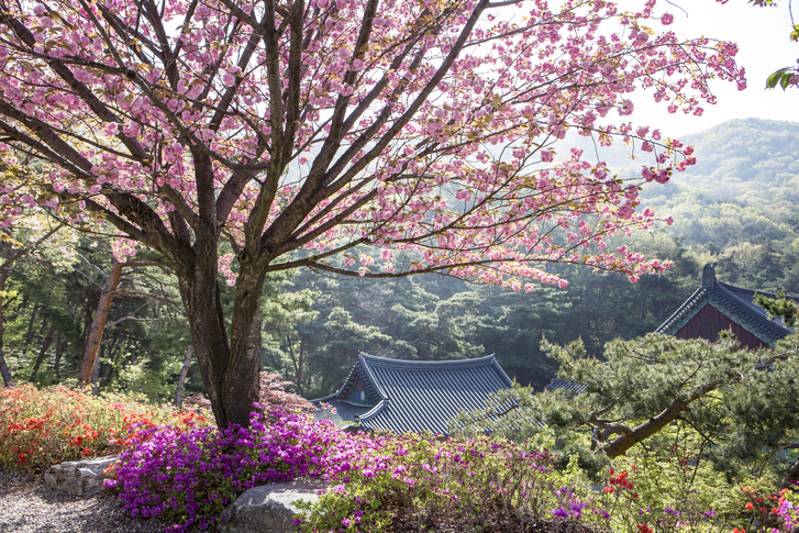 천안 각원사 이미지 3