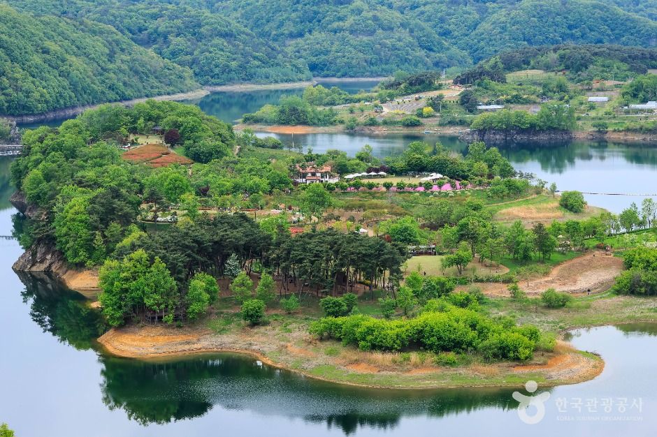 임실 옥정호 출렁다리 및 붕어섬생태공원 이미지 4