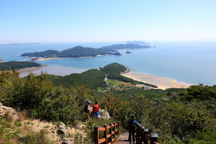 옹진군 덕적도 갈대 군락지 이미지 2