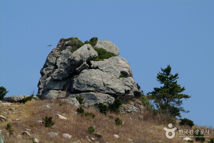 완도 범바위 이미지 2