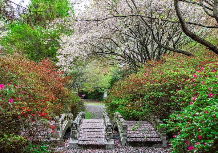 전남 강진군 남미륵사 이미지 3