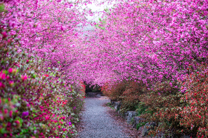 전남 강진군 남미륵사 이미지 2